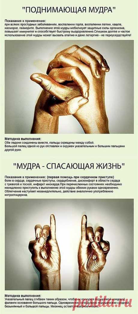 ДНЕВНИК КРАСОТЫ И ЗДОРОВЬЯ