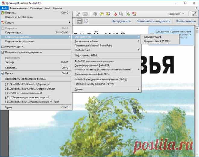 Конвертируем PDF в Word — 5 программ