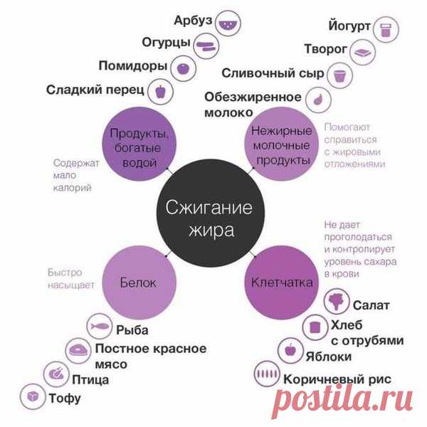 ПОЛЕЗНЫЕ КАЧЕСТВА ПРОДУКТОВ