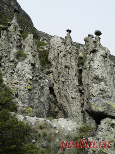 Как мы ходили по каменные грибы | Александр Шитов | Яндекс Дзен