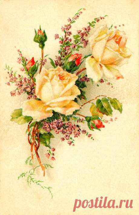 Изображение: Pin van Petra op Flower tattoo ideas - Floral illustrations ... Найдено в Google. Источник: pinterest.ca.