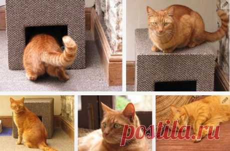 Домик для кошки из картонной коробки