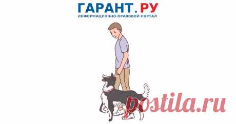 За нарушение условий содержания домашних животных могут ввести административную ответственность Соответствующий законопроект о дополнении КоАП РФ новой статьей внесен в Госдуму 17 декабря.