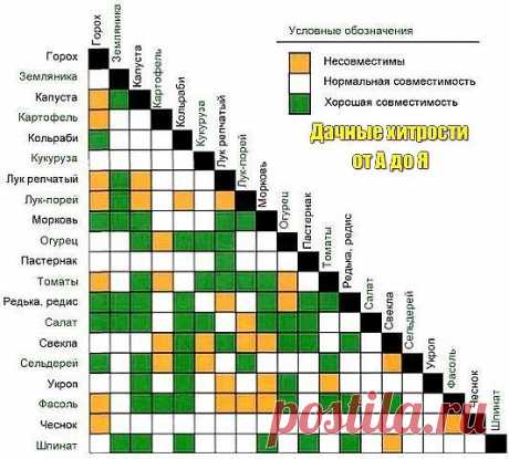 Одноклассники