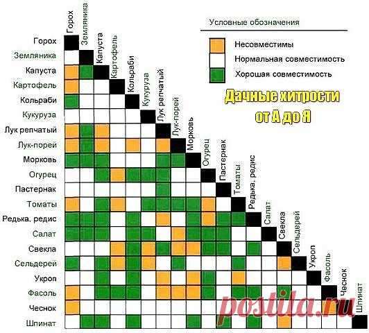 Одноклассники