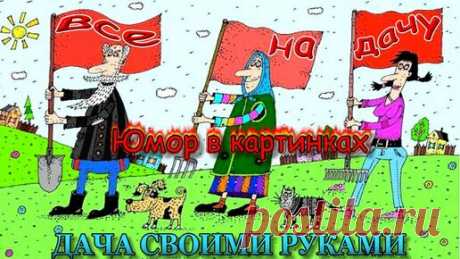 Дача Своими Руками. | Анекдоты в картинках про дачу -1 Май, Труд, Картошка. Фото приколы юмор.