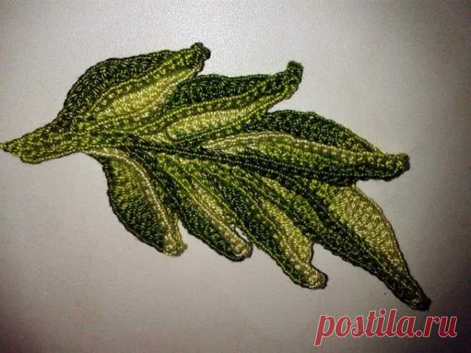 (2) Facebook