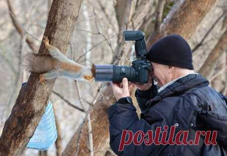 Удивительные фотографии со всего мира.
