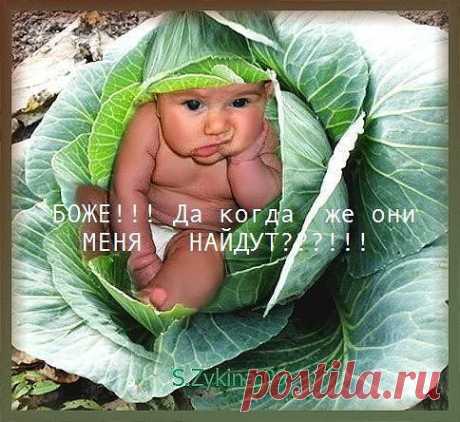 Ирина Кубрякова - Кострома, Костромская обл., Россия на Мой Мир@Mail.ru