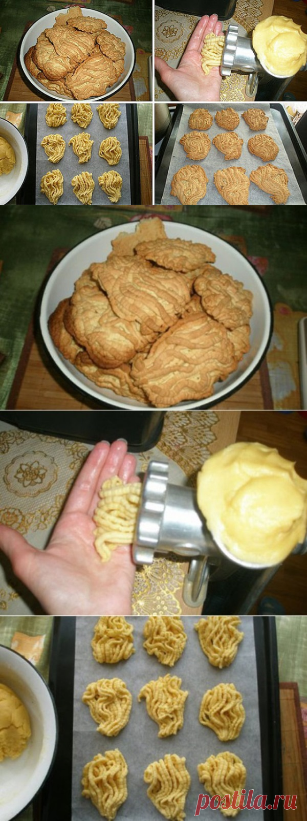 Готовим вкусно » Архив сайта Печенье на мясорубке готовится Быстро, дёшево, легко и самое главное — вкусно!