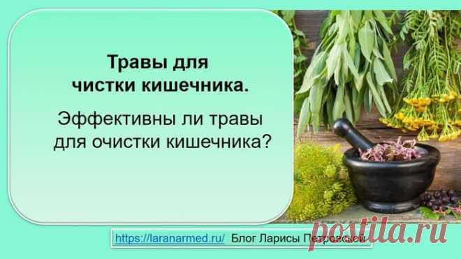 Травы для чистки кишечника. Эффективны ли травы для очистки кишечника ...