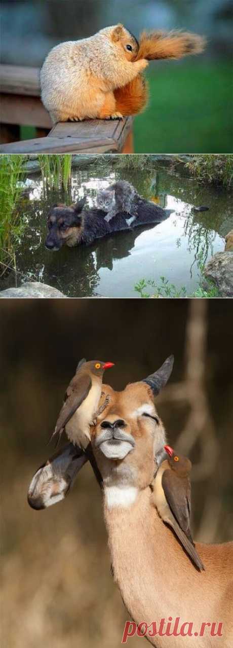 гугл