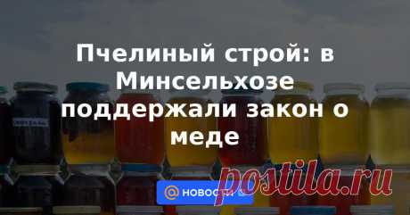 Пчелиный строй:ПОДДЕЛКА- в Минсельхозе поддержали закон о меде | 6 апреля 2023 - Новости Mail.ru