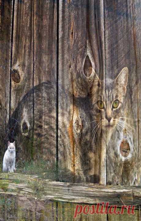 helen warlow on Twitter: &quot;I couldn’t find any details at all for this except for it was painted on an old wooden barn. Sorry but it’s lovely so couldn’t resist posting . https://t.co/i035icnsdO&quot; / Twitter