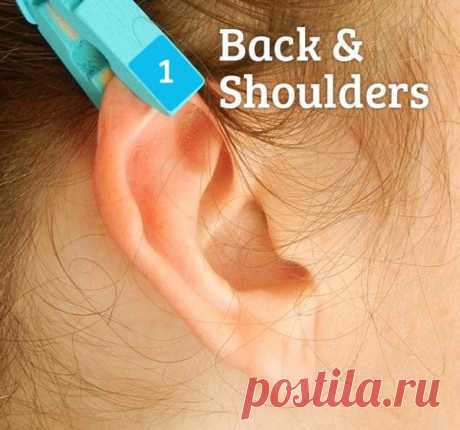 Я в шоке! Вот что произойдет, если вы будете прицепить прищепку к уху. Эффективность этого метода зашкаливает ! | Узнал сам - расскажи другому.