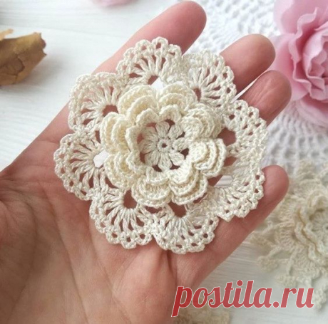 Вика Адамчук (Чивичкина)
