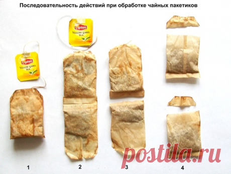 НЕОБЫЧНОЕ ВЫРАЩИВАНИЕ РАССАДЫ