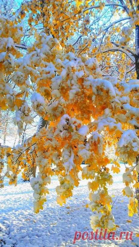 Альфия Лукманова - Google+