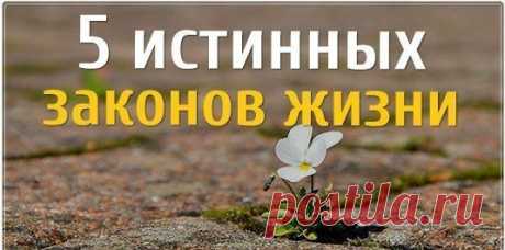 5 истинных законов жизни
1. Не нужно навязываться людям — и ты поймешь, нуждаются ли они в тебе 
2. Не нужно верить словам — в наше время они ничего не стоят
3. Цени тех, кто дорожит тобой — и не держи тех, кому ты не нужен 
4. Не верь отговоркам — если у человека есть желание, он сделает это при любых обстоятельствах 
5. Не суди людей по себе — они не способны ради тебя сделать то, на что ты готов был ради них…