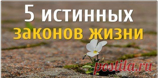 5 истинных законов жизни
1. Не нужно навязываться людям — и ты поймешь, нуждаются ли они в тебе 
2. Не нужно верить словам — в наше время они ничего не стоят
3. Цени тех, кто дорожит тобой — и не держи тех, кому ты не нужен 
4. Не верь отговоркам — если у человека есть желание, он сделает это при любых обстоятельствах 
5. Не суди людей по себе — они не способны ради тебя сделать то, на что ты готов был ради них…
