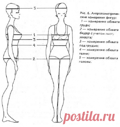 Мастерская моды - третий урок, вторая часть. Типология фигур. Антропометрия - система измерений человеческих фигур. Мера полноты. Полнота характеризуется распределением жироотложений: Равномерное жироотложение по всему телу, на туловище и конечностях. Степень жироотложений слабая, средняя, сильная. Неравномерное жироотложение - при неравномерном жироотложении…