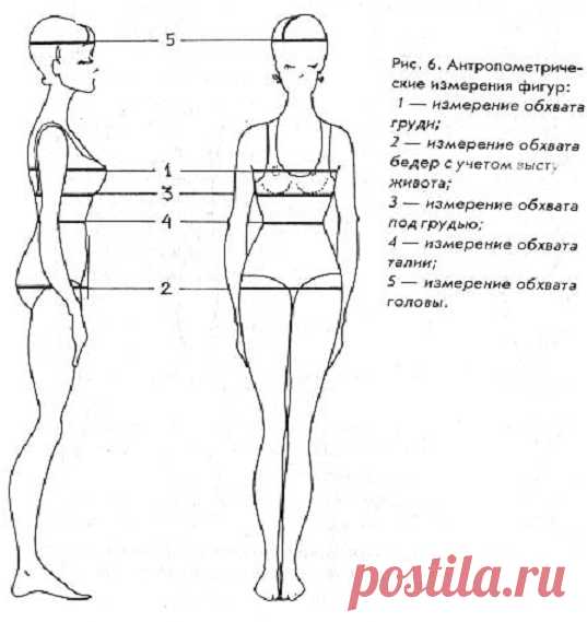 Мастерская моды - третий урок, вторая часть. Типология фигур. Антропометрия - система измерений человеческих фигур. Мера полноты. Полнота характеризуется распределением жироотложений: Равномерное жироотложение по всему телу, на туловище и конечностях. Степень жироотложений слабая, средняя, сильная. Неравномерное жироотложение - при неравномерном жироотложении…
