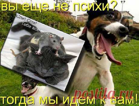 мы идём......
