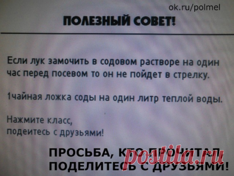 (52) Одноклассники