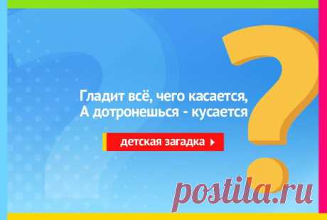 Гладит всё чего касается, а дотронешься кусается - Загадка