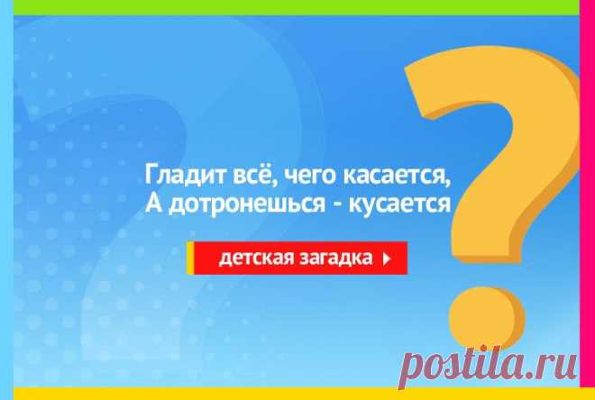Гладит всё чего касается, а дотронешься кусается - Загадка