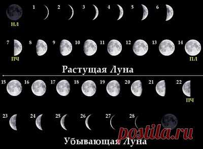 Влияние фазы луны на человека.ЗДЕСЬ--- http://3ladies.ru/vliyanie-luny