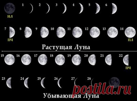 Влияние фазы луны на человека.ЗДЕСЬ--- https://3ladies.ru/vliyanie-luny