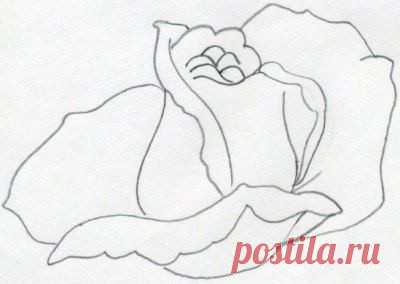 Рисуем с детьми розу