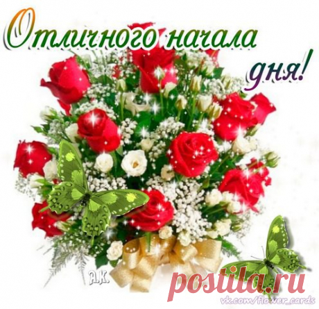 Y6LYJGzqsQU.jpg (496×480)