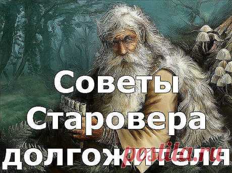 Мудрые советы - (51) Одноклассники