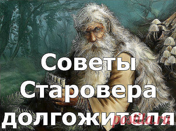 (51) Одноклассники