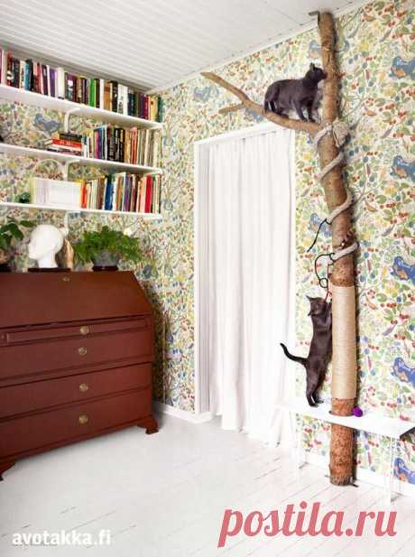 Кошачий уголок — DIYIdeas