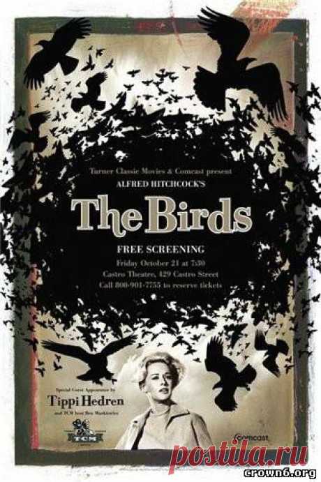 Птицы / Birds 1963 онлайн
Режиссер: Альфред Хичкок
Жанр: Триллер, ужасы