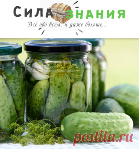 Хрустящие маринованные огурцы — 10 лучших рецептов в банках на зиму
