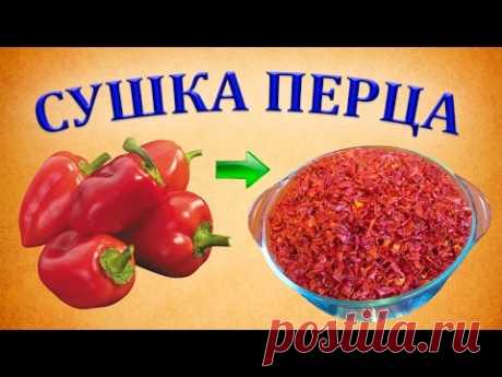 Болгарский перец – Перец полезные свойства – Перец сушеный