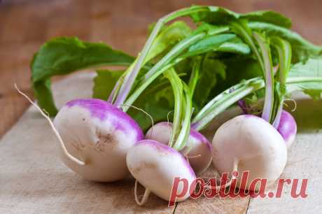 Брюква: корнеплод для людей и не только. Как вырастить хороший урожай?