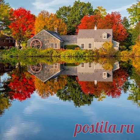 Photo by ❤ Sally in Griffin Museum of Photography. May be an image of nature, tree and lake.