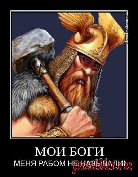 ДУПЛА ТОТА. Ирина КИМ. ПРЕДСТАВЛЯЮ. | fedorbelyaev58