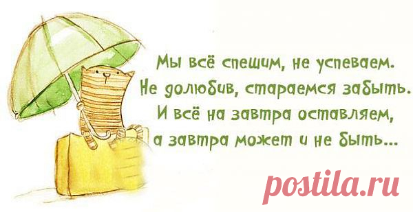 Мы все спешим