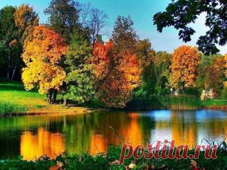 Мой Мир@Mail.Ru