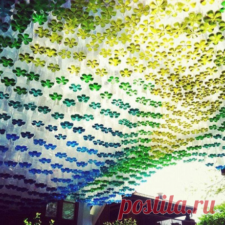Грибы из пластиковых бутылок » Женский Мир