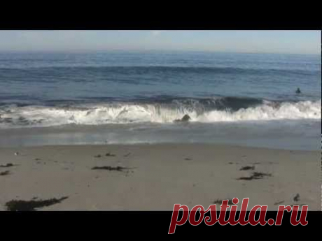 ♥♥ Relaxing 3 Hour Video of California Ocean Waves