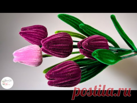 DIY Flower - How to make a Tulips 3 wing easily with Pipe cleaner ( chenille ) ! #hmstation