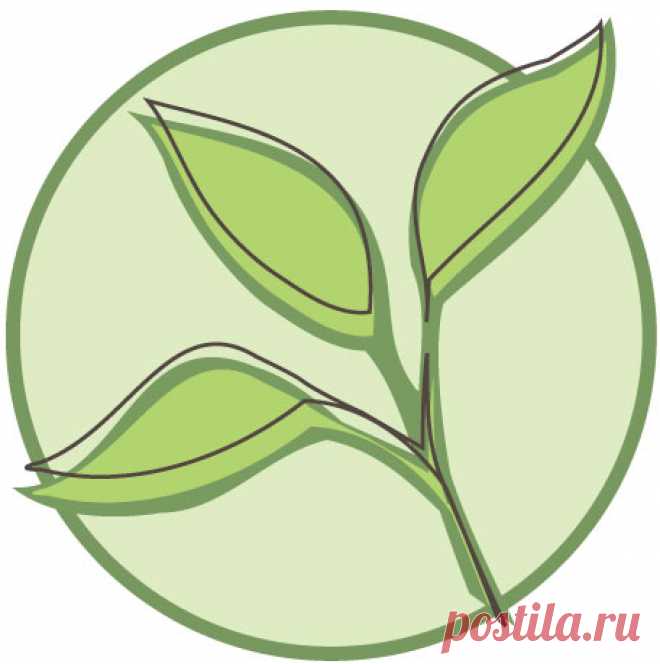 Салаты и закуски на новый год 2017- подборка лучших рецептов