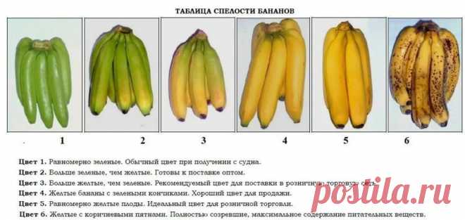 7 полезных свойств бананов и некоторые из них могут вас удивить | Поговорим о женском | Яндекс Дзен